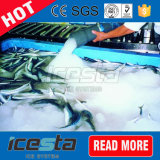 Best Quality Water-Cooled Liquid Ice Plant for Food Fresh Keeping