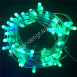 Full Copper Wire 12V Replaceable LED Christmas Clip String Lights