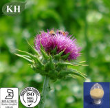 100% Natural Liver Protecting Ingredient Milk Thistle Extract Silymarin 80%, Silybin 30%
