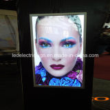 Wall Mounted Snap Frame LED Light Box for Cosmetics Advertising Display