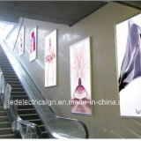 Metro Advertising Display with Picture Frame Wholesale