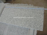 Hot Sell G664/G687g623/G654/G439/G603 Granite Tile with Competitive Price