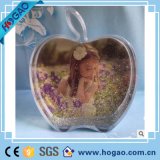 High Quality 3D Style Snow Globes/Plastic Ocean Snow Globe for Promotion