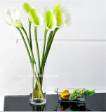 Clear Acrylic Organic Glass Flower Vase (BTR-Q8002)