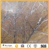 Brown Tropical Rainforest Marble for Countertop Slabs or Floor Tile