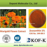 Marigold Flower Extract Powder Zeaxanthin 5% HPLC