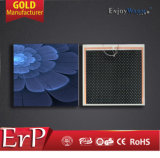 ERP Lot20 Ce RoHS Manufacturer Far Infrared Film Far Infrared Heating Film