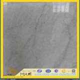 Italian Carrara White Marble Tile for Wall Flooring