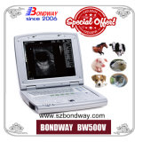 Digital Laptop Veterinary Ultrasound Scanner --Equine, Bovine, Swine, and Small Animal Scanning