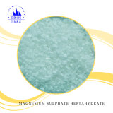 Magnesium Sulphate Mgso4 with High Quality