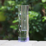Tall Clear Glass Vase and Optic Crystal Vase