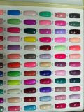 Nail Polish with Many Colors and Discount 2018