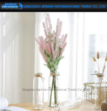 Simple Straight-Sided Table Plant Vase Decoration Glass Jar