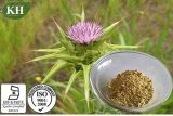 China Factory Supply High Quality Natural Milk Thistle Extract