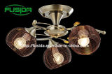 2014 New High Design Ceiling Lamp with Iron (X-9420/3)