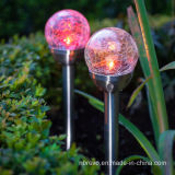Stainless Steel Crystal Ball Light for Garden Pathway (RS106A)