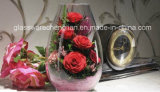 Various Designs of Crystal Glass Vases (V-038)