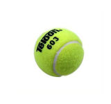 OEM New Design Professional Training Tennis Ball