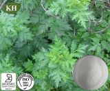 Pure Natural Artemisia Annua Extract - Artemisinin 99%