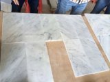 Favorable Low Price China Guangxi White Marble Block Price