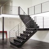 Stainless Steel Powder Coated Outdoor Straight Staircase