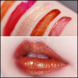 Wholesale Glitter Lip, Wholesale Bulk Lipstick Glitter Powder Manufacturer