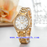 Business Watch Customize Woman Wrist Watches (WY-019A)