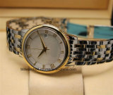 Custom Luxury Stainless Steel Bracelet Watches for Women