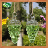 Grape Shape Hanging Glass Vases