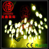CE LED Light String (LS-SD-1)