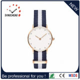 Lady 36mm Bracelet Brand Crystal Watch (DC-1234)