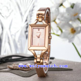 Custom Design Watch Alloy Luxury Stainless Steel Watch (WY-040D)