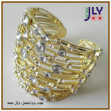 Fashion Costume Jewelry Bracelet/Bangle (P9130067)
