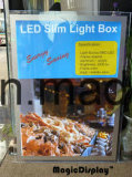 LED Backlit Crystal Advertising Display
