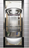 Fjzy Sightseeing Elevator with Good Quality Observation Elevator