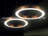 Steel Round LED Pendant Lamp (WHG-8233)
