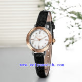 Hot Selling Watch Customized Woman Watch (WY-030D)