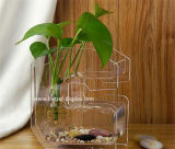 New Design Modern Fashion Clear Crystal Glass Vase Btr-Q8074)