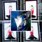 Cable Suspended LED Crystal Light Box for Salon Window Displays