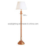 Modern Decorative Simplify Floor Lamp (MT-8804)