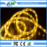 Factory Whole Sale 2 Wire Horizontal LED Rope Lighting - Blue