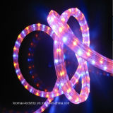 Holiday Decorative light 3 Wire Flat LED Rope Light-Multi Colors