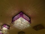 Crystal Ceiling Chandelier Lighting (OM0008)