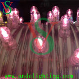 New 2016 LED Christmas Pink Clip Lights Decoration String Lights