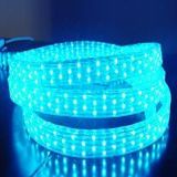 Leomay 4 Wires Flat Vertical LED Rope Light