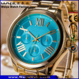 Custom Logo Quartz Men's Watch Crystal Swiss Wrist for Man (WY-17005B)