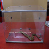 Clear Acrylic Reptiles Feeding Box Btr-S1016