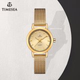 Fashion Ladies Quartz Watch Gold Dress Waterproof Wristwatches 71348