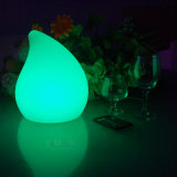 Christmas Battery Operated LED Light 16 Color Change Lamp