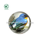 Crystal Paper Weight with Decal Paper by SGS (KL140308-1F)